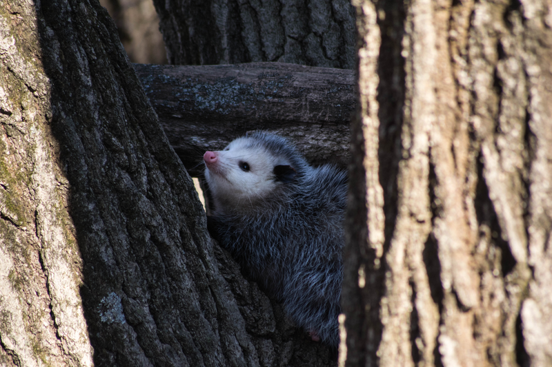 Is it still there? Crap, it’s still there. Must hide better!